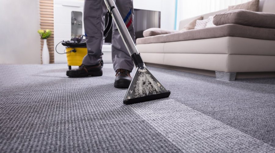 Professional Carpet Steam Cleaning